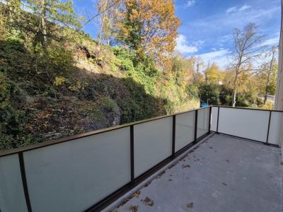 For rent Nancy 2 rooms 42 m2 Meurthe et moselle (54000) photo 4