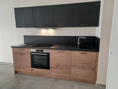 Annonce Location 2 pices Appartement Saint-jean-de-la-ruelle 45