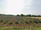 For sale Land Malataverne 490 m2