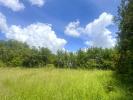 For sale Land Saint-lions  989 m2