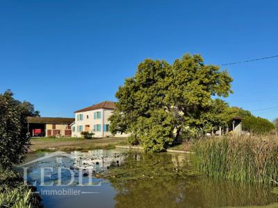 For sale Eauze 9 rooms 310 m2 Gers (32800) photo 0