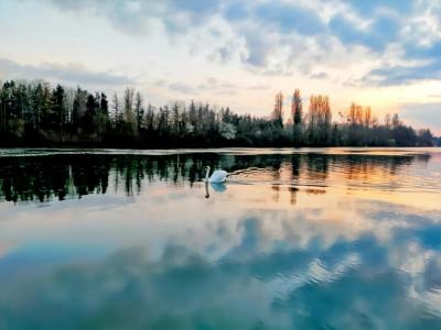 Annonce Vente 7 pi�ces Maison Chartrettes 77