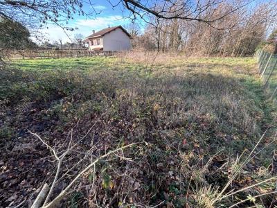 Annonce Vente Terrain  01