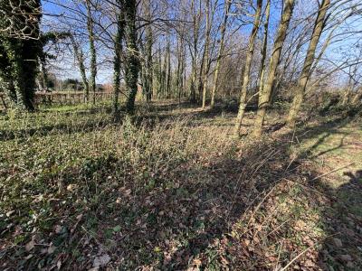 Acheter Terrain  Ain