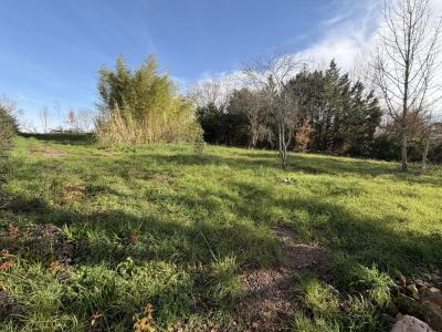 Annonce Vente 7 pices Maison  81