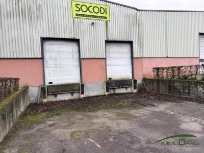 Louer Commerce 747 m2 Martin-eglise