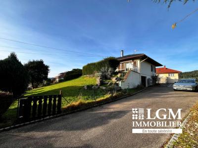 Annonce Vente 4 pices Maison Saint-die 88