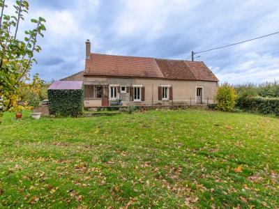 Annonce Vente 4 pices Maison Thenioux 18