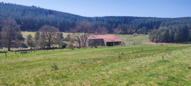 For sale Riotord 1990 m2 Haute loire (43220) photo 0