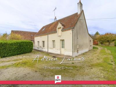 Annonce Vente 4 pi�ces Maison Pruniers-en-sologne 41