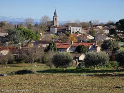 For sale Carlus Tarn (81990) photo 0