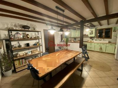 Annonce Location 4 pices Maison Nogent-sur-aube 10