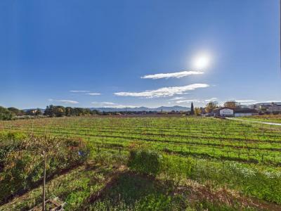 For sale Luc 2 rooms 42 m2 Var (83340) photo 3