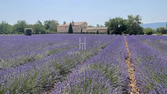 Acheter Prestige Gordes Vaucluse