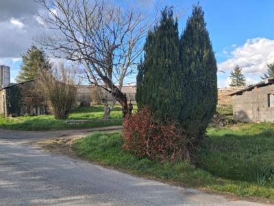 Annonce Vente Prestige Saint-amand-sur-sevre 79