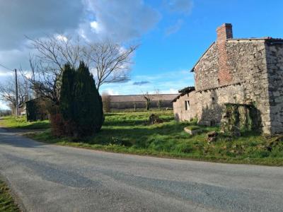 Acheter Prestige Saint-amand-sur-sevre Deux sevres