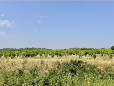 Acheter Maison Bedarrides 385900 euros