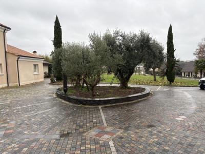 Annonce Vente Prestige Ussac 19