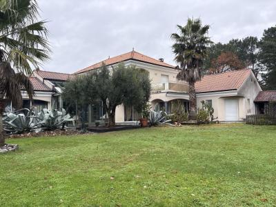 Acheter Prestige Ussac Correze