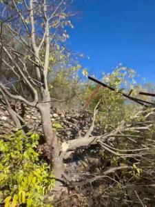 Acheter Appartement 163 m2 Moustiers-sainte-marie