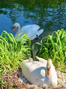 Acheter Maison Bienville Oise