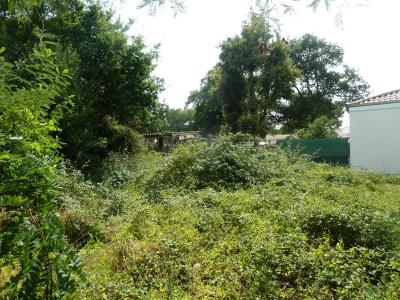 Annonce Vente 3 pices Maison Tremblade 17