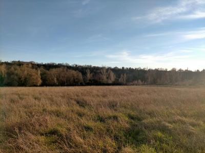 Annonce Vente Terrain Romans-sur-isere 26