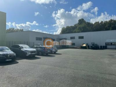 Annonce Location Commerce Eysines 33