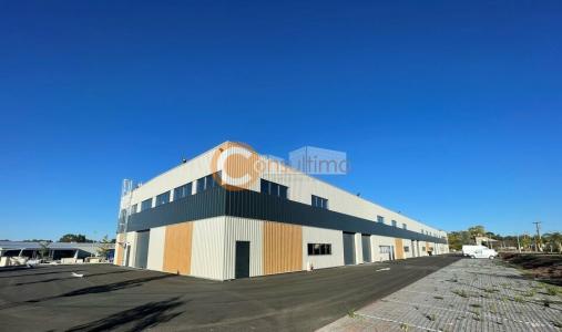 Annonce Location Commerce Salleboeuf 33