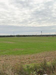 For sale Villedoux 385 m2 Charente maritime (17230) photo 2