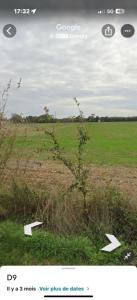 For sale Villedoux 385 m2 Charente maritime (17230) photo 3