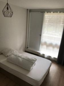 Louer Appartement Villeurbanne 495 euros