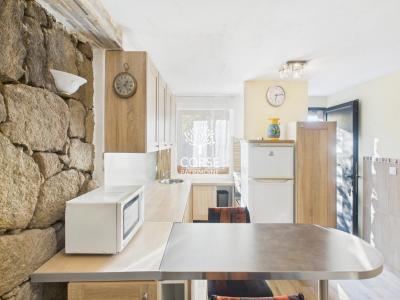 Annonce Vente 2 pi�ces Appartement Monacia-d'aullene 20