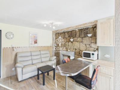 Acheter Appartement 42 m2 Monacia-d'aullene