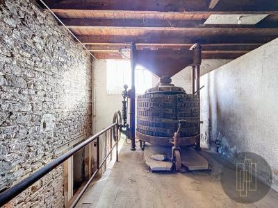 Acheter Maison Pommiers Rhone