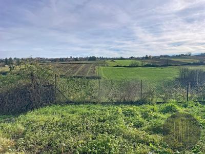 Annonce Vente 6 pices Maison Pommiers 69