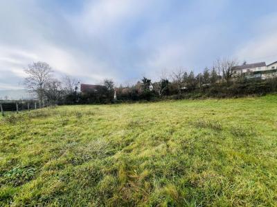 Annonce Vente Terrain Fleurey-sur-ouche 21