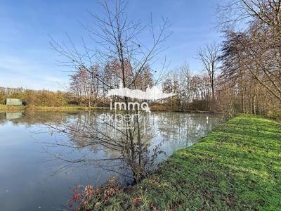 Acheter Terrain Mirecourt Vosges
