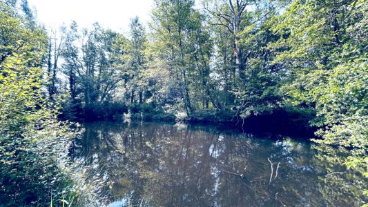 Acheter Maison 138 m2 Coutras