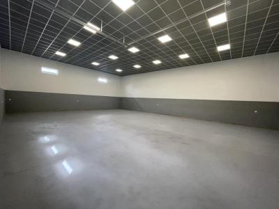 Annonce Vente Commerce Couzeix 87