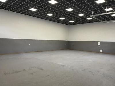 Acheter Commerce Couzeix 164300 euros