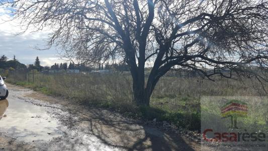 For sale Manduel 2657 m2 Gard (30129) photo 0