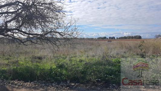 Annonce Vente Terrain Manduel 30