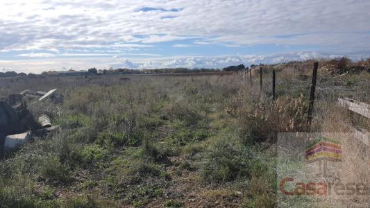 Acheter Terrain 2657 m2 Manduel