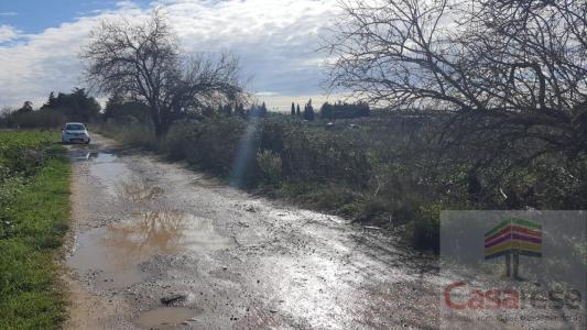 Acheter Terrain Manduel Gard