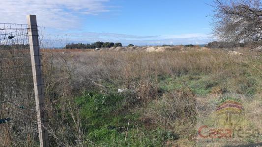 Annonce Vente Terrain Manduel 30