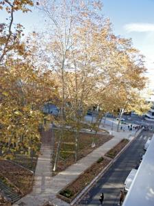 Louer Appartement Lyon-3eme-arrondissement 1190 euros