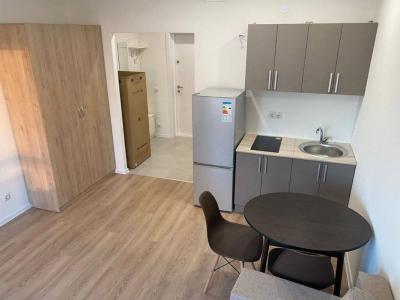 Annonce Location Appartement Lyon-7eme-arrondissement 69