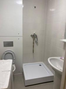 Louer Appartement Lyon-7eme-arrondissement 512 euros
