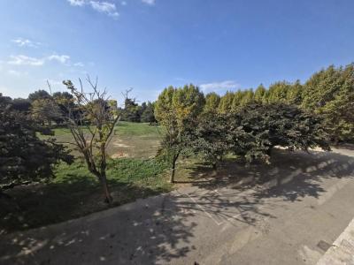 Annonce Vente 4 pices Appartement Marseille-11eme-arrondissement 13